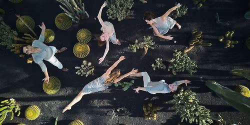 Dance in the Gardens