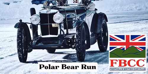 Polar Bear Run