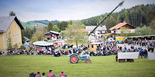 Traditionelles Maibaum stellen der Zeche Michlbach