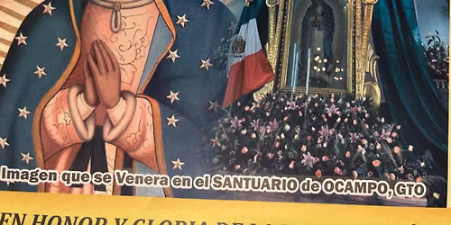 Visitas de la Sma Virgen de Guadalupe 