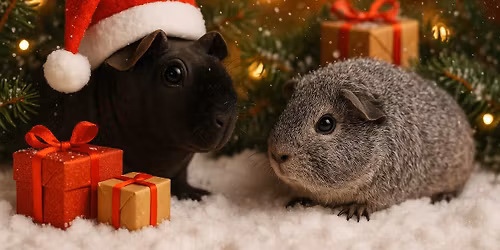 Dobbelt juleudstilling