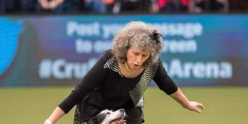 Stage de dogdancing !
