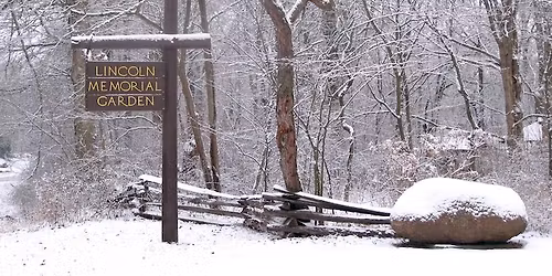 Winter Forest Therapy