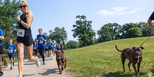 Makin' Strides for Strays