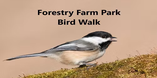 Forestry Farm Park Bird Walk - Saskatoon