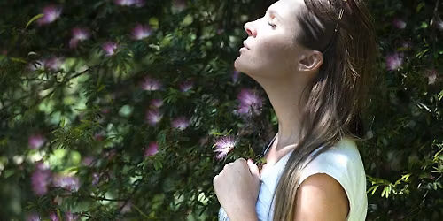 Summer Mind-Body Wellness Retreat