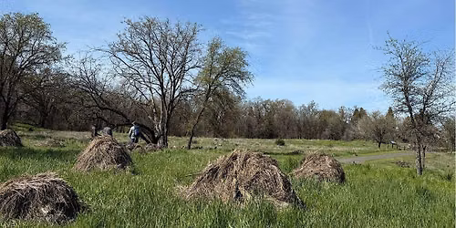 Groundwater Dependent Ecosystems in the Vina GSP