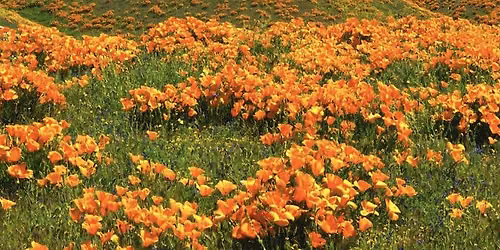 Keep California Beautiful Annual Affiliates Meeting