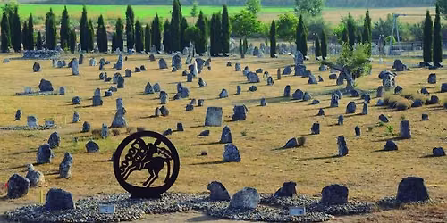 Visita a Pintia Vaccea