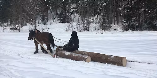 Kurs i lundedragskj\u00f8ring og tradisjonell hogst
