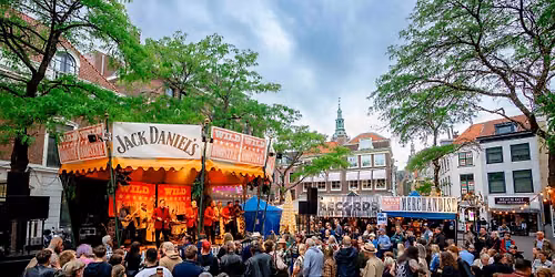 WILD ROOSTER FESTIVAL 2026