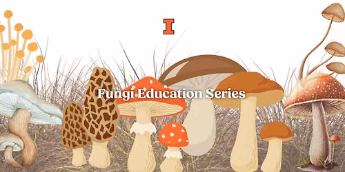 Edible Mushroom Grow Kit Workshop