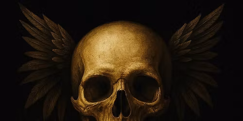 12TH DEC - THE HERON - WESTHAM PEVENSEY