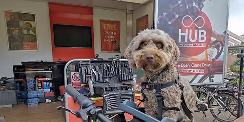 Dr. Bike @ Clifton Park