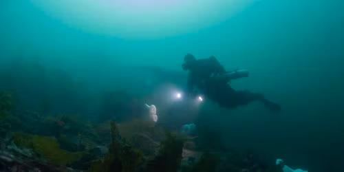 Nanaimo Wreck Diving