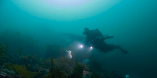 Nanaimo Wreck Diving