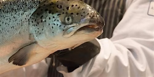 The Ocean Wise Difference: Seafood, Sustainability & Nutrition