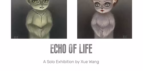 Meet Xue Wang | Echo of Life Solo Exhibition