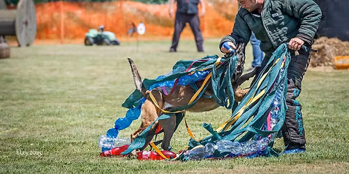 Mondioring v papu\u010dk\u00e1ch aneb kdy\u017e je venku velk\u00e1 zima - \u00fanor s Jacopo Galleani ITA