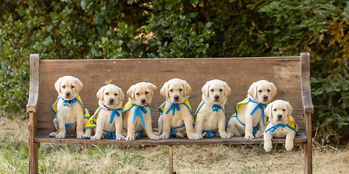 North Central Graduations