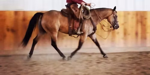 Stache Ranch Clinic Hermiston Oregon