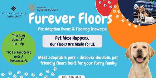 FURever Floors Pet Adoption and Flooring Showcase