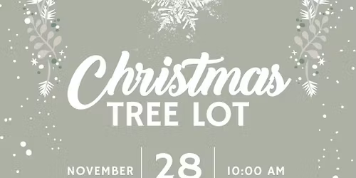A Real Christmas Experience & Tree Lot at Highland Acres