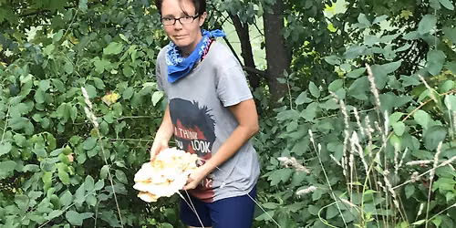 Mycology class and hands on mushroom workshop in Van Cortland Park