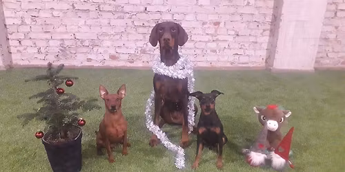 Treenikaverin pikkujoulut