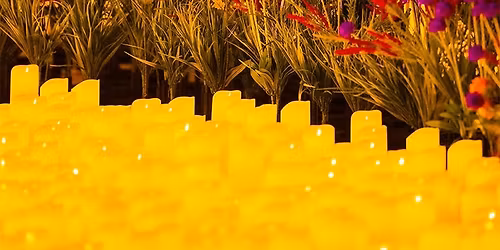 Candlelight: i grandi successi di Bridgerton | Florence