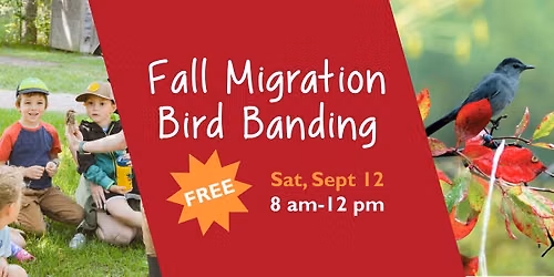 Fall Migration Bird Banding