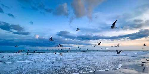 \ud83c\udf34 Escape to Myrtle Beach for the Weekend! \ud83c\udf0a\u2600\ufe0f $99 per couple