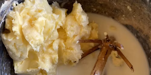 Gr\u00f8nne Vikinger: Tvare