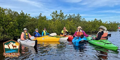 Morning Mangrove Paddle