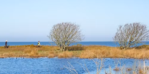 Navigator L\u00e6s\u00f8