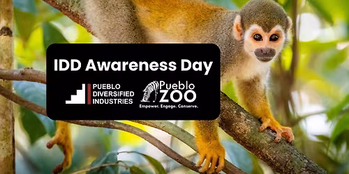 IDD Awareness Day