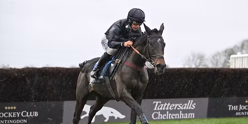 Peterborough Chase Raceday 2025