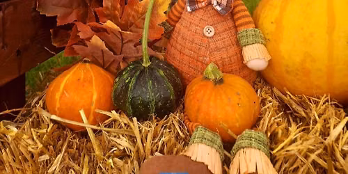 Galway Pumpkin Patch 