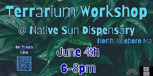 Terrarium Workshop at  Native Sun Dispensary 21+