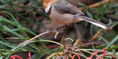 Victoria Reservoir - morning excursion