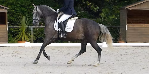 Concours de dressage