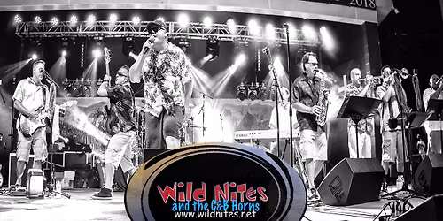 Westport Social Club (Wild Nites\/C&B Horns)
