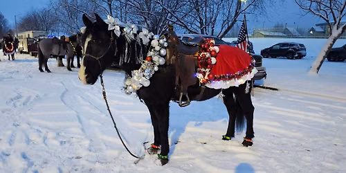 \u2606\u300b3rd Annual Mat-Su Equestrians group Colony Christmas Parade of Lights\u300a\u2606