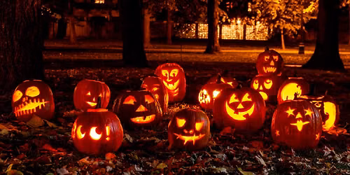 The Haunted Orchestra
