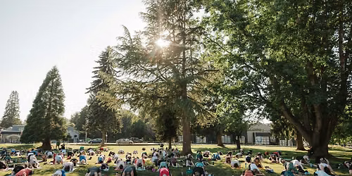 Yoga in the Park
