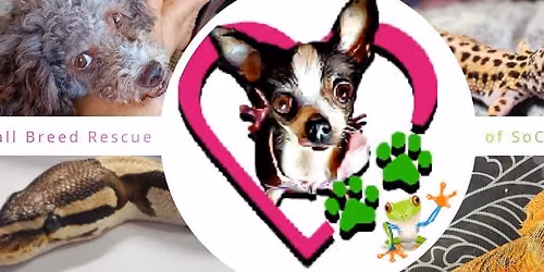 Meet-n-Greet Adoptable & Educational Pets