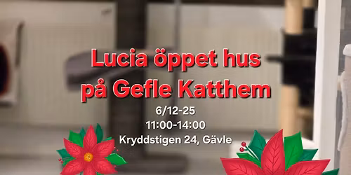 \ud83c\udf85Lucia \u00f6ppet hus p\u00e5 Gefle Katthem\ud83c\udf85