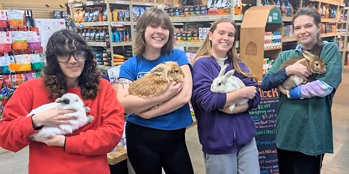 Rescued Rabbits at Healthy Pets Northwest - Woodstock