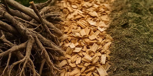 Konferencja "BioMASA dla Przemys\u0142u i Energetyki" 