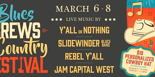 BBQ  Brews & Blues Fest - Friday